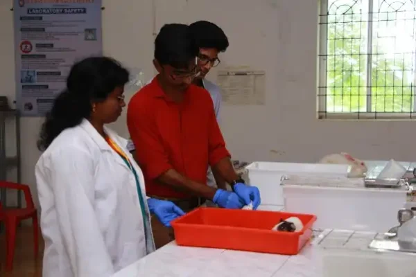 ONE DAY ANIMAL HANDLING PROGRAM