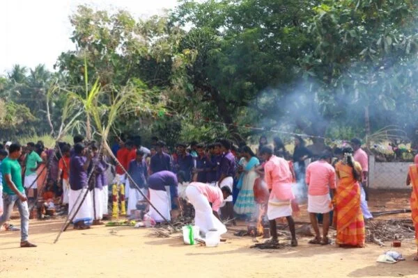 PONGAL CELEBRATION