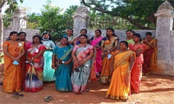 PONGAL CELEBRATION